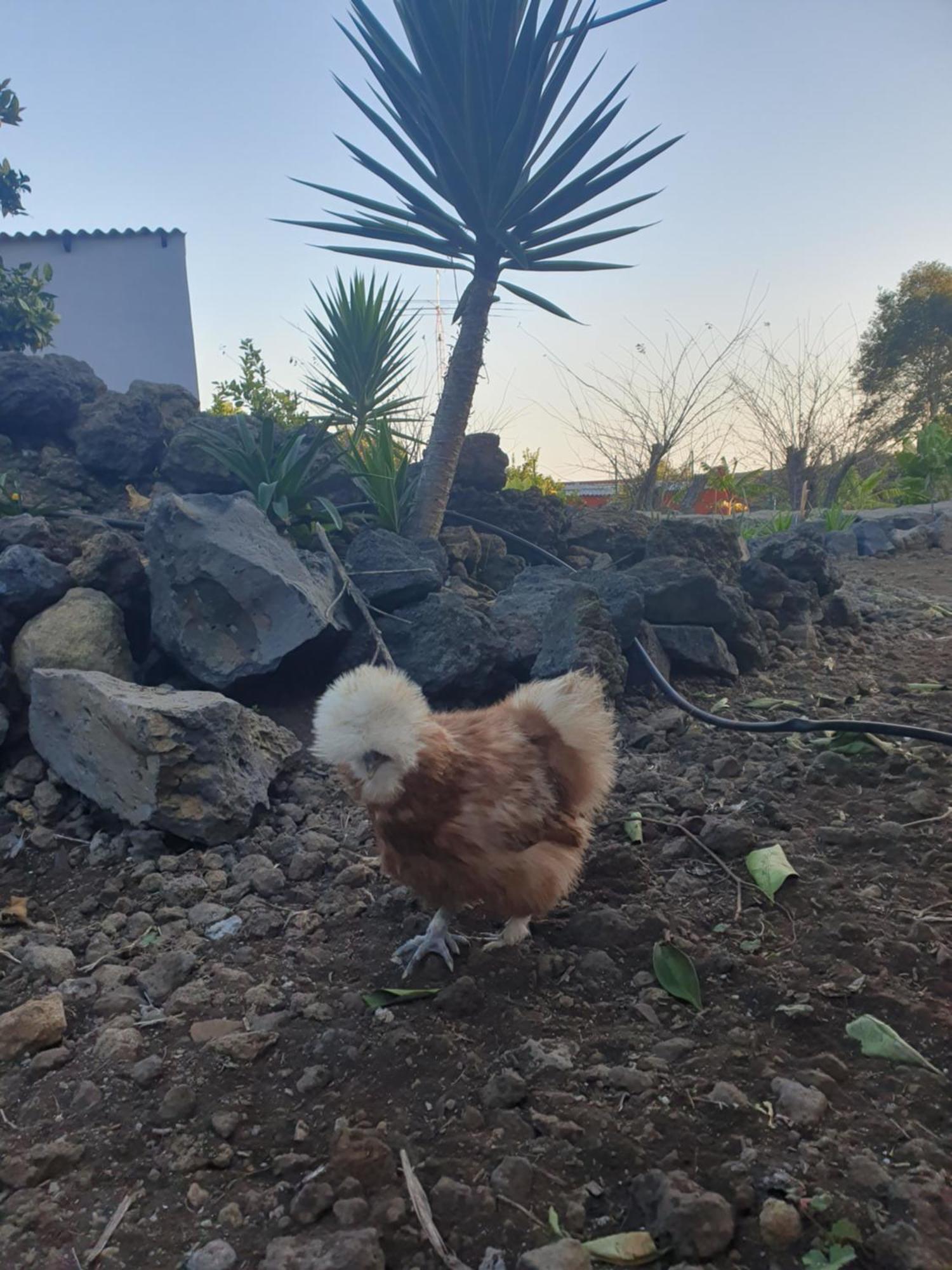 Casas Asomada Villa El Tanque Dış mekan fotoğraf